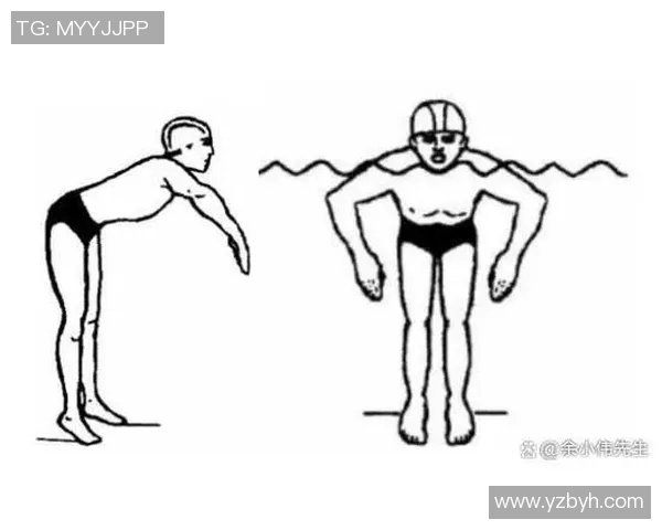 蛙泳技巧全面解析与训练方法提升游泳表现的科学途径